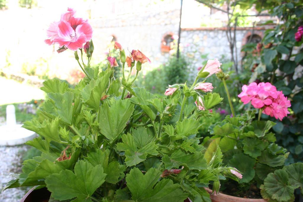 Villa Filip Trpejca Esterno foto